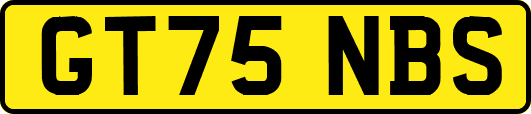 GT75NBS