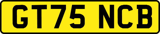 GT75NCB