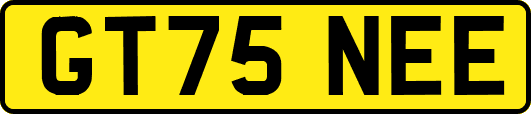 GT75NEE