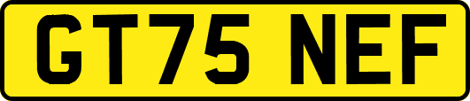 GT75NEF
