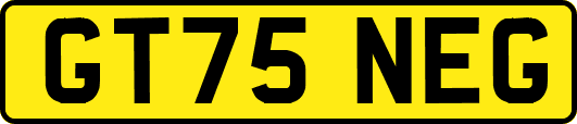 GT75NEG