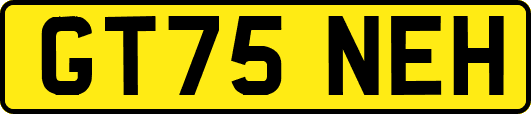 GT75NEH