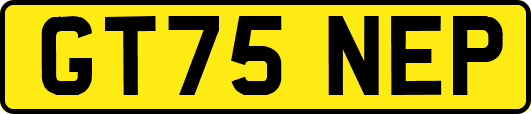GT75NEP