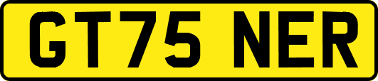 GT75NER