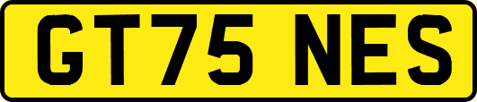 GT75NES
