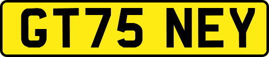 GT75NEY