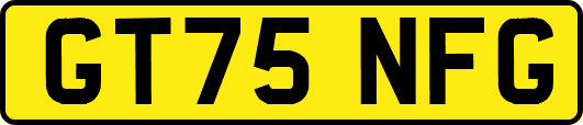 GT75NFG