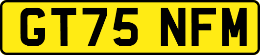 GT75NFM