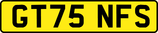 GT75NFS