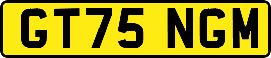 GT75NGM