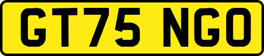 GT75NGO