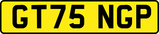 GT75NGP