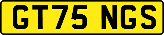 GT75NGS