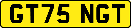GT75NGT