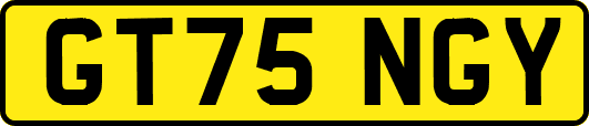 GT75NGY