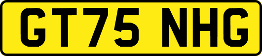 GT75NHG