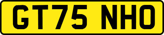 GT75NHO