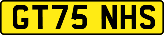 GT75NHS
