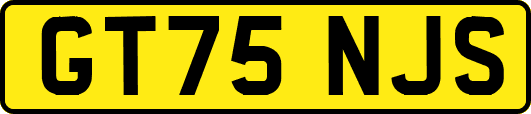 GT75NJS