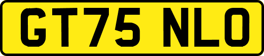 GT75NLO