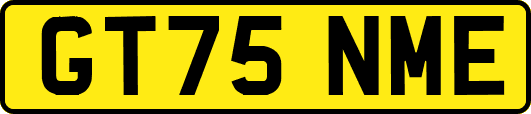 GT75NME