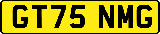GT75NMG