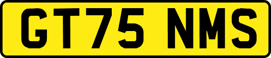 GT75NMS