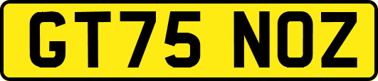 GT75NOZ