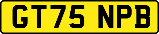 GT75NPB