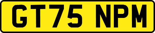 GT75NPM