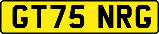 GT75NRG