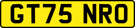 GT75NRO