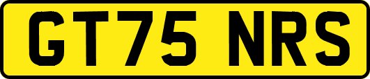 GT75NRS