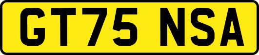 GT75NSA