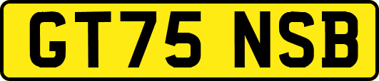 GT75NSB