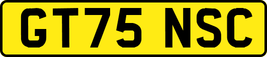 GT75NSC