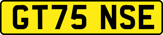 GT75NSE