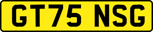 GT75NSG