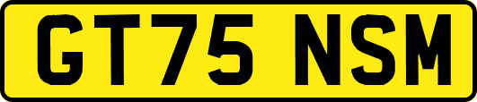 GT75NSM