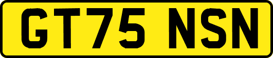 GT75NSN