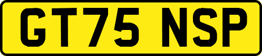 GT75NSP