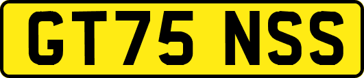 GT75NSS