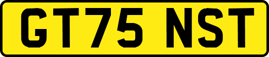 GT75NST