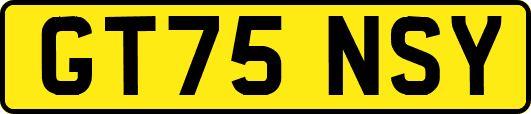 GT75NSY