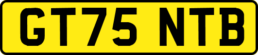 GT75NTB