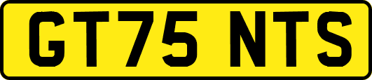 GT75NTS