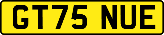 GT75NUE
