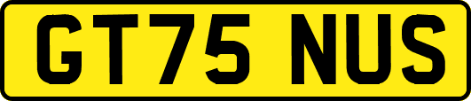GT75NUS