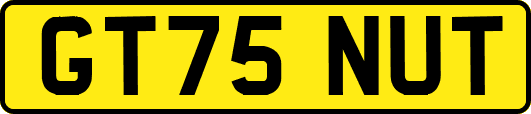 GT75NUT