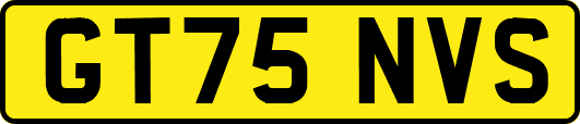GT75NVS